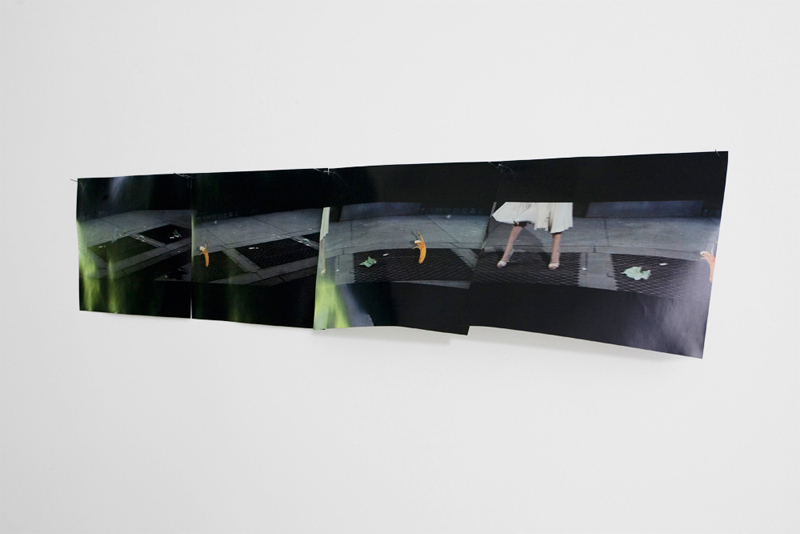 Friederike Hamann Figures of Affect Be Wilder